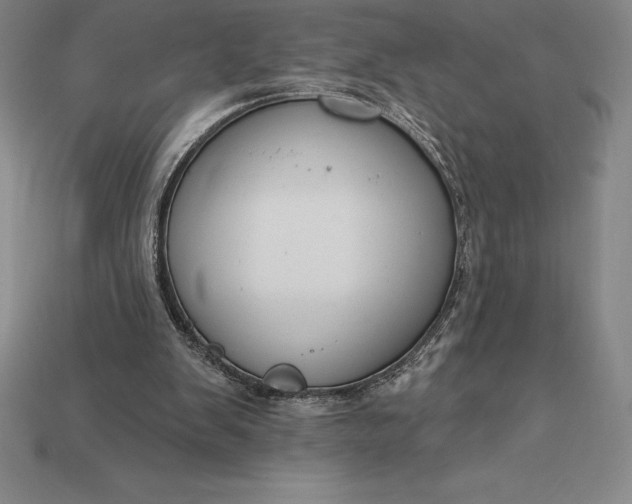X0000115200103200911121851