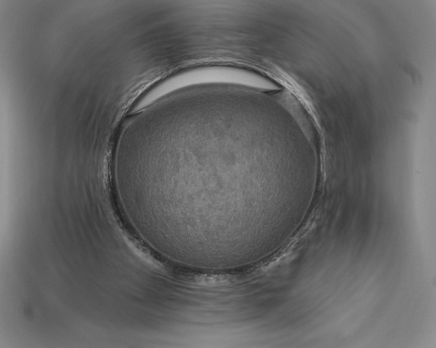 X0000115200105200911121851