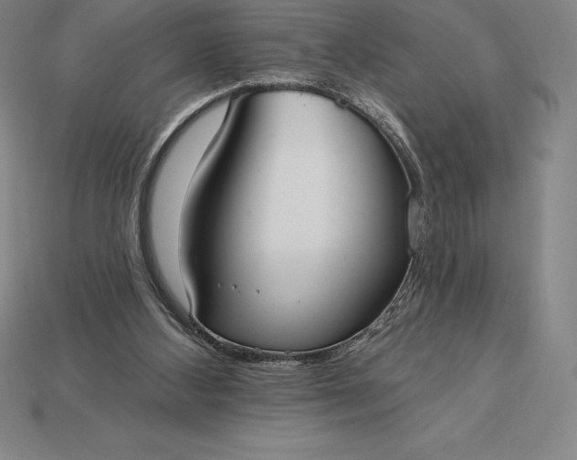 X0000115200108200911121851