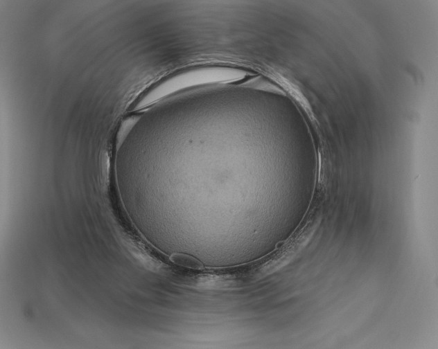 X0000115200109200911121851