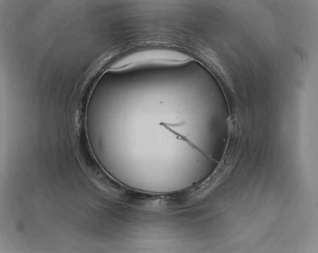 X0000115200116200911121851