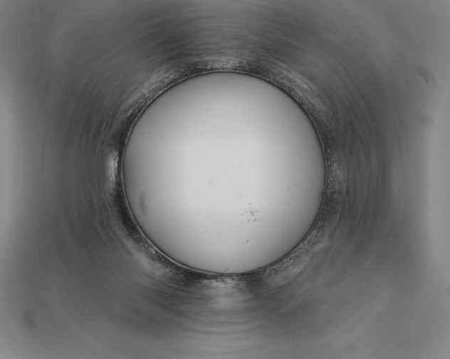 X0000115200118200911121851