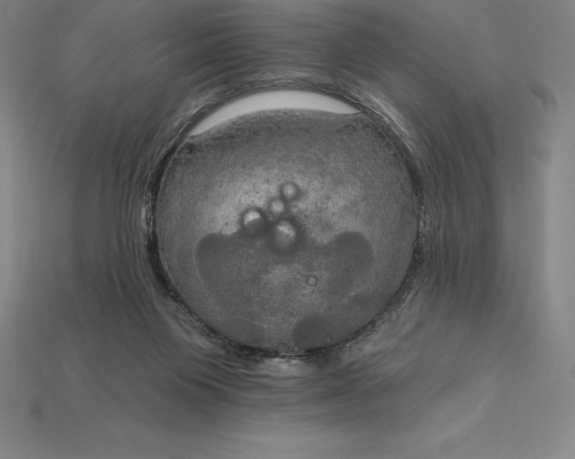 X0000115200119200911121851