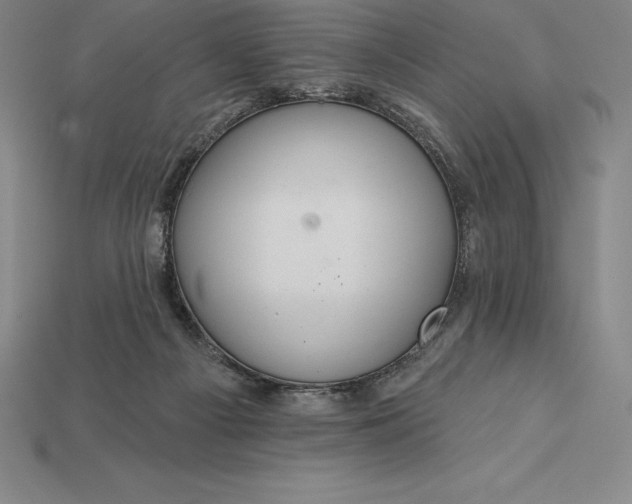 X0000115200121200911121851