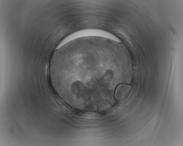 X0000115200123200911121851