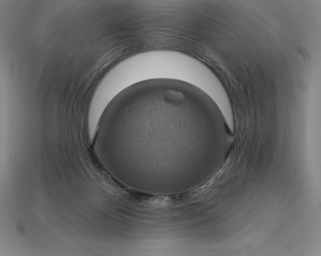 X0000115200124200911121851