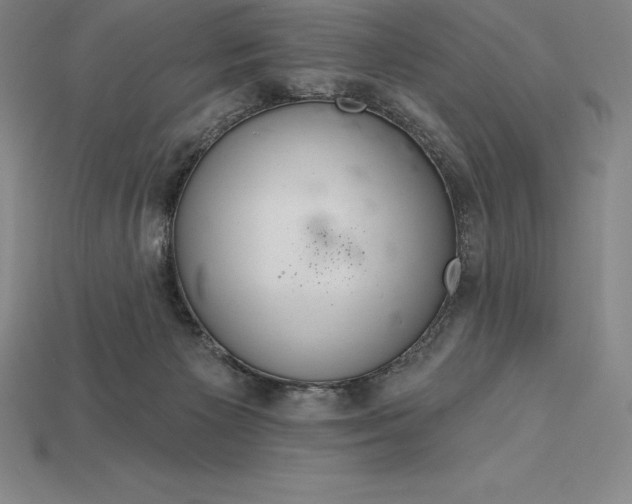 X0000115200125200911121851