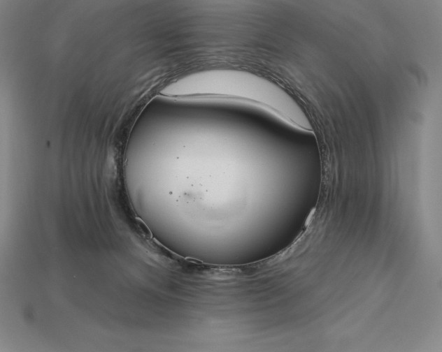 X0000115200128200911121851