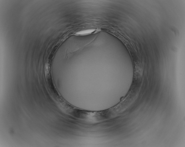 X0000115200130200911121851