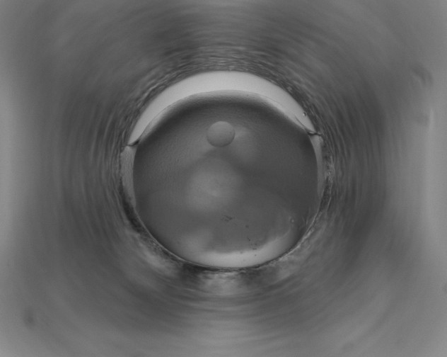 X0000115200132200911121851