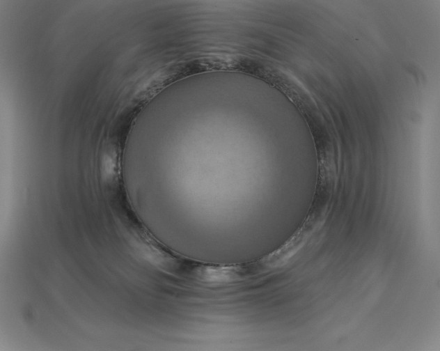 X0000115200134200911121851