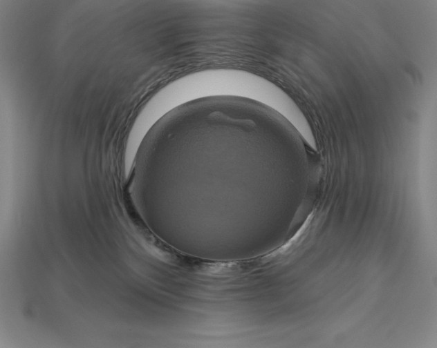 X0000115200136200911121851