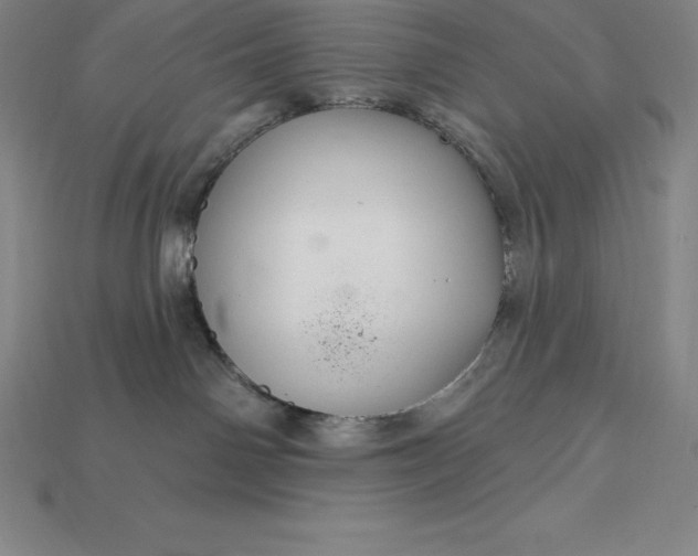 X0000115200142200911121851