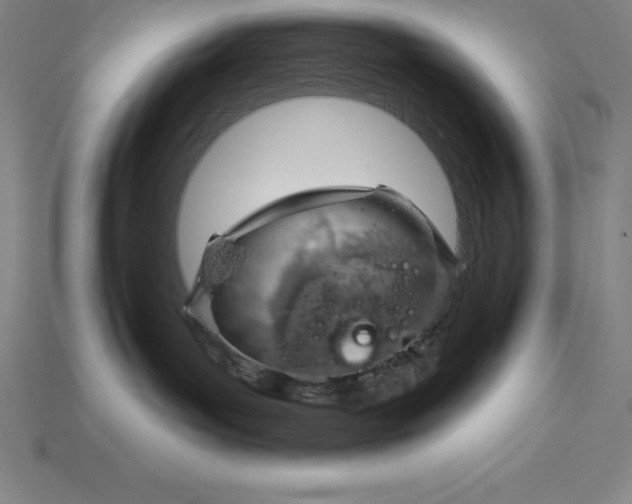 X0000115200143200911121851