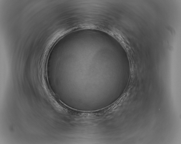 X0000115200145200911121850