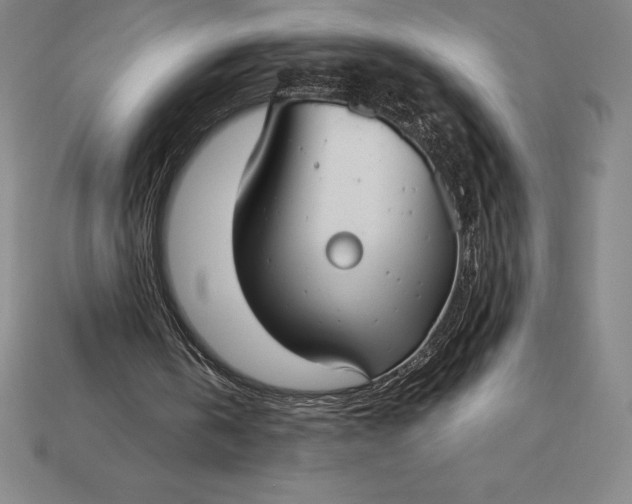 X0000115200146200911121850