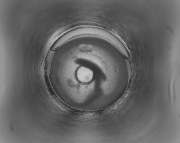X0000115200151200911121850