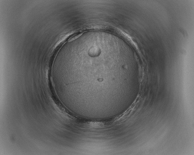 X0000115200154200911121850