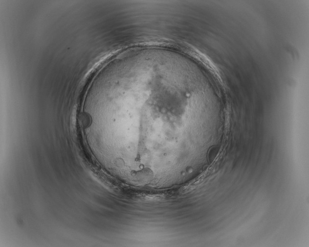 X0000115200155200911121850