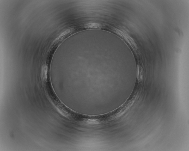 X0000115200157200911121850