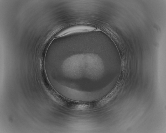 X0000115200158200911121850