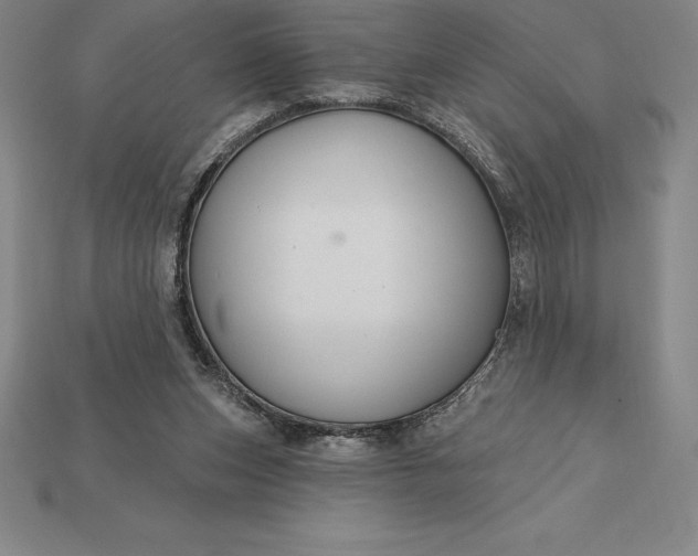 X0000115200159200911121850