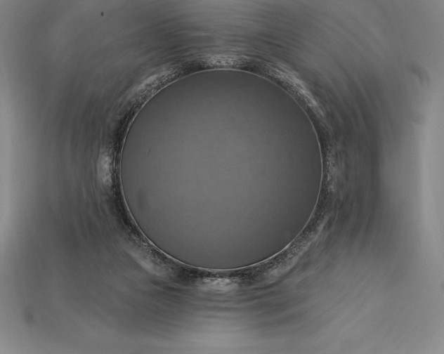 X0000115200161200911121850