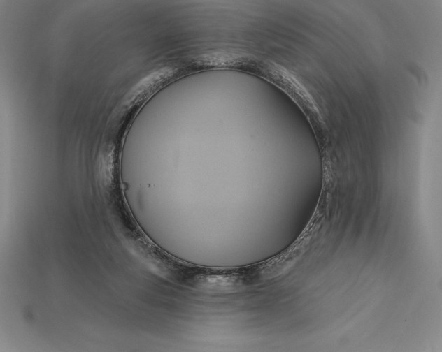 X0000115200163200911121850