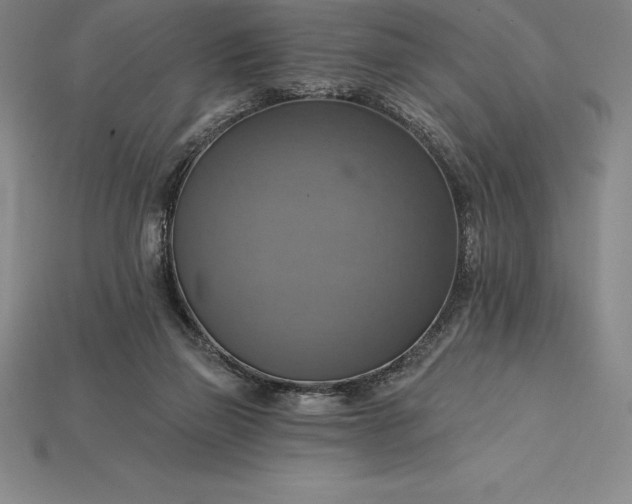 X0000115200165200911121850
