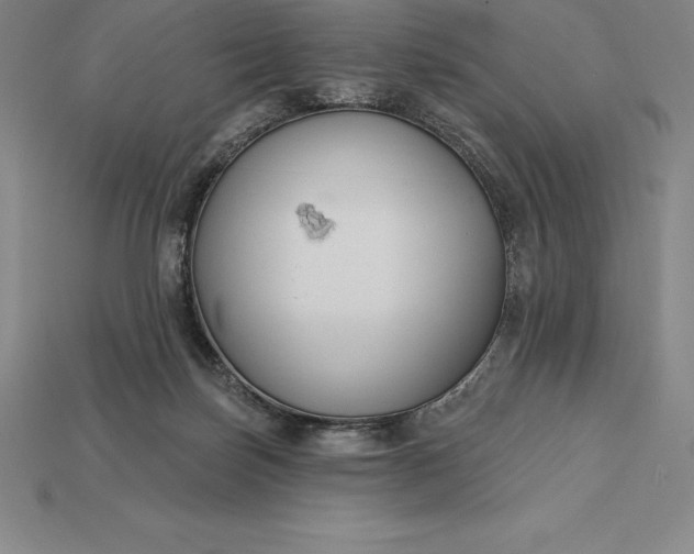 X0000115200171200911121850