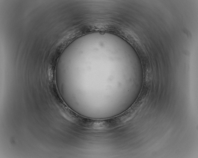 X0000115200173200911121850