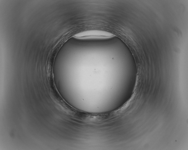 X0000115200174200911121850