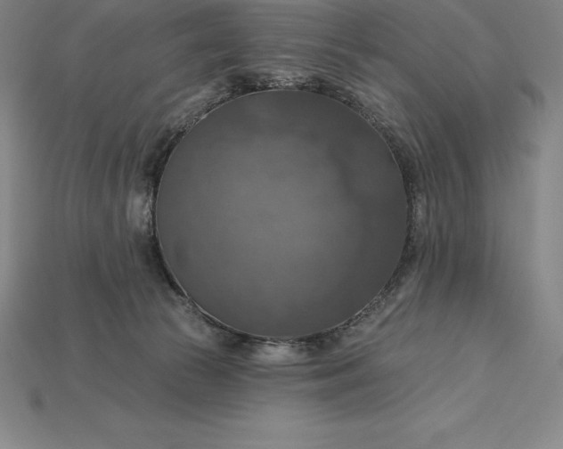 X0000115200177200911121850