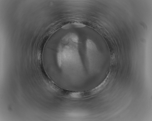 X0000115200178200911121850