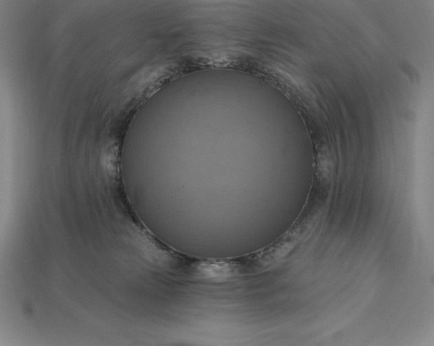 X0000115200181200911121850