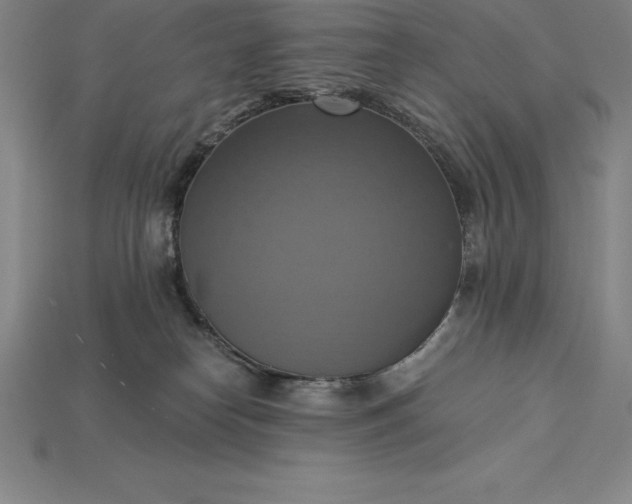 X0000115200182200911121850