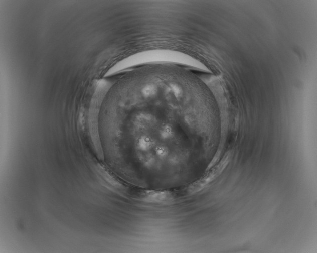 X0000115200185200911121850