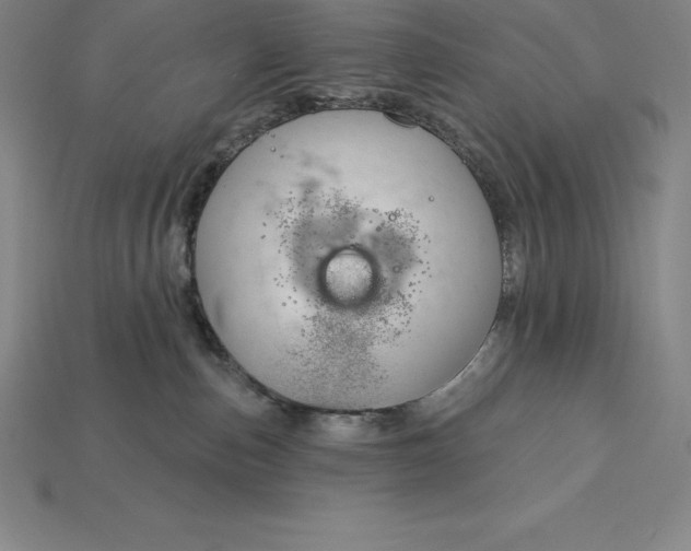 X0000115200187200911121850