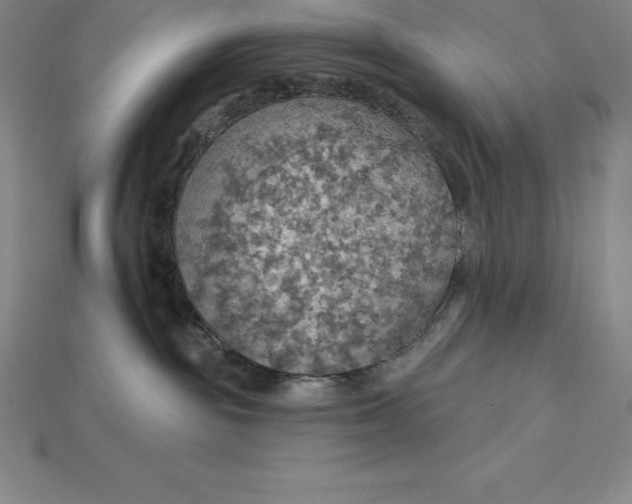 X0000115200189200911121851