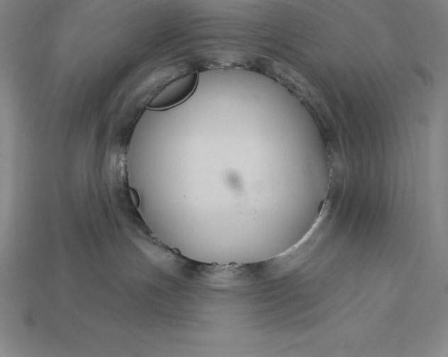 X0000115200191200911121851
