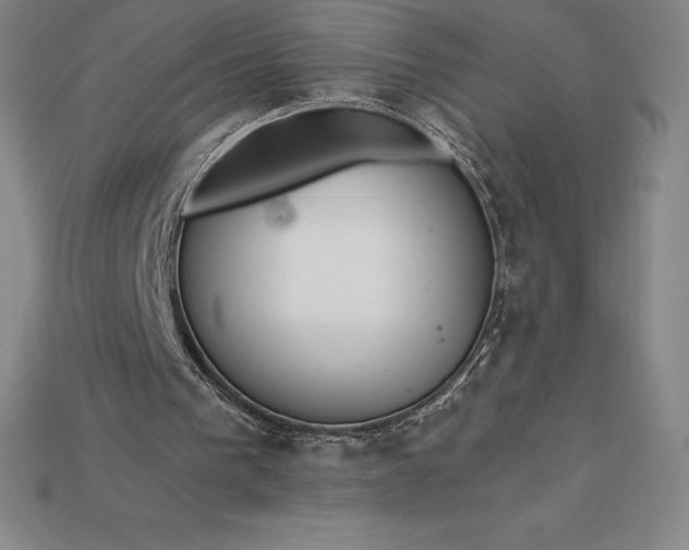 X0000115200193200911121850
