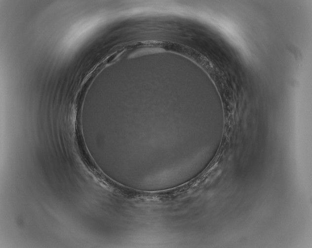 X0000115200194200911121850