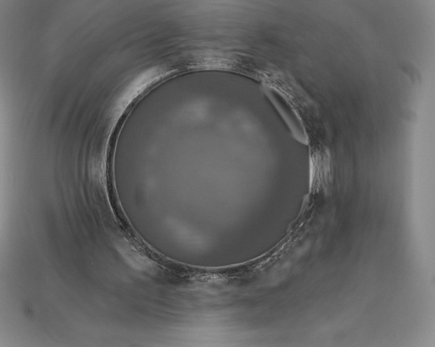 X0000115200195200911121850