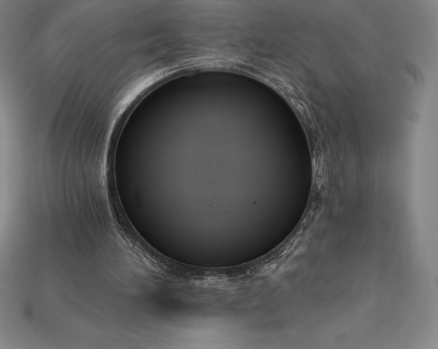 X0000115200196200911121850