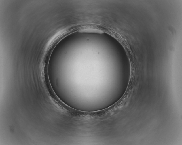 X0000115200197200911121850