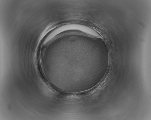 X0000115200198200911121850
