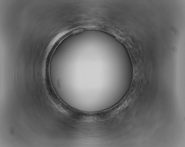 X0000115200200200911121850