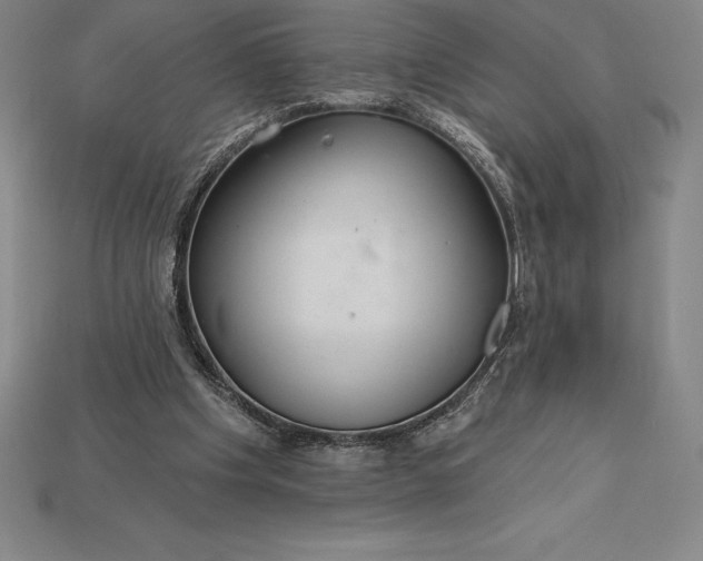 X0000115200201200911121850