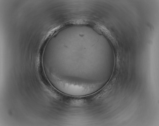X0000115200202200911121850