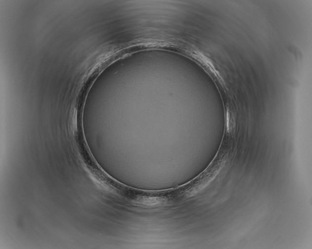 X0000115200205200911121850